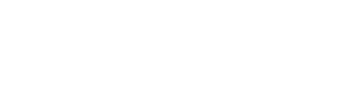 TikTok Ads